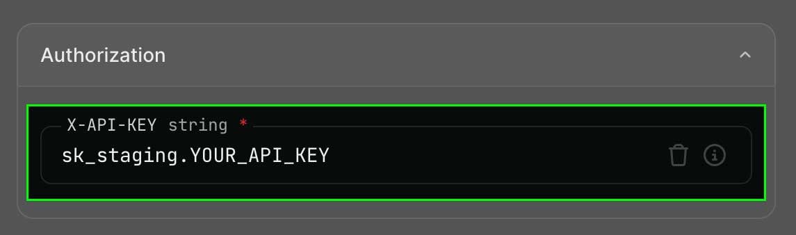 Set x-api-key screenshot
