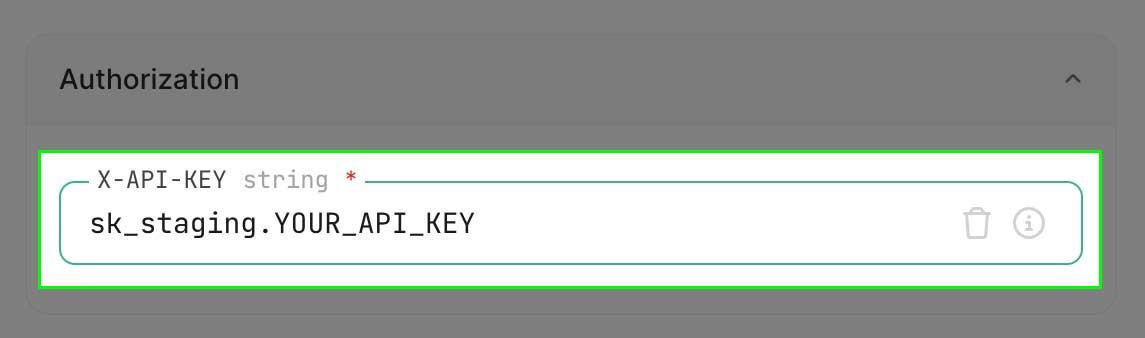 Set x-api-key screenshot