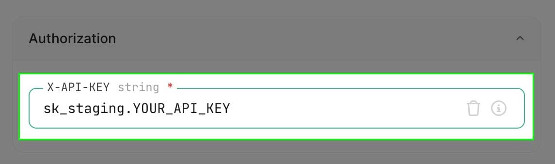 Set x-api-key screenshot