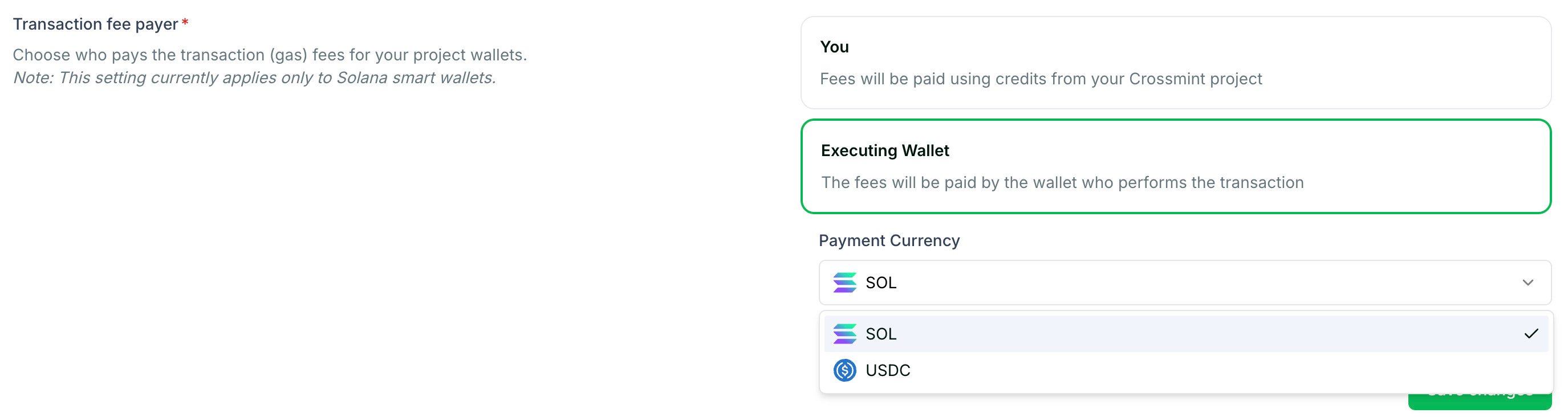 Solana Payment Currency Options