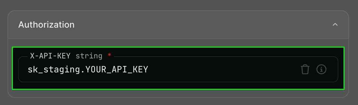Set x-api-key screenshot