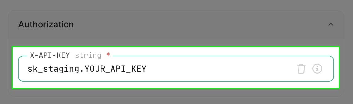 Set x-api-key screenshot