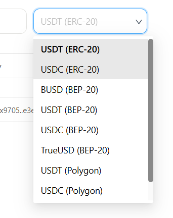 Currency dropdown showing USDT and USDC on Ethereum, BNB Chain and Polygon