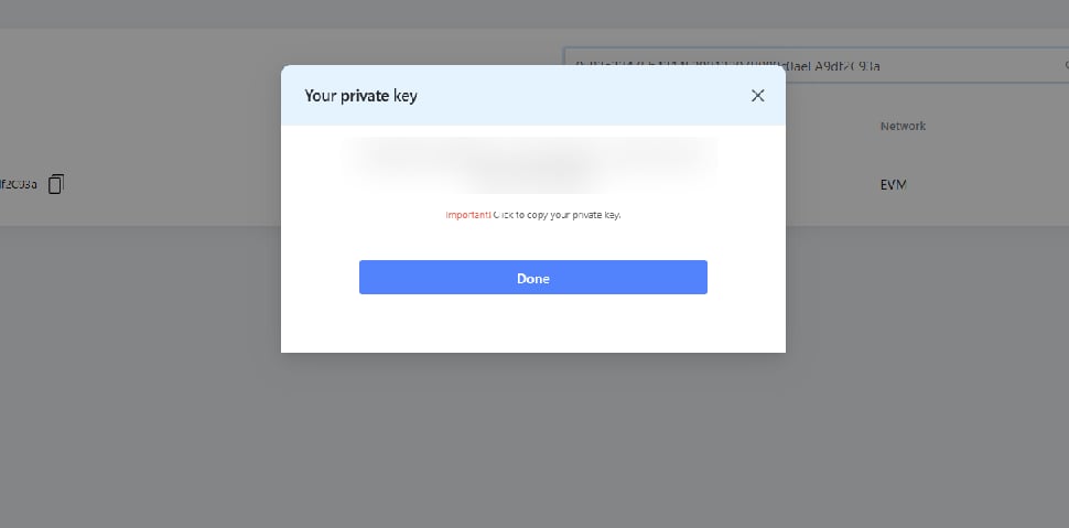 Your private key dialog with the key value and a copy prompt