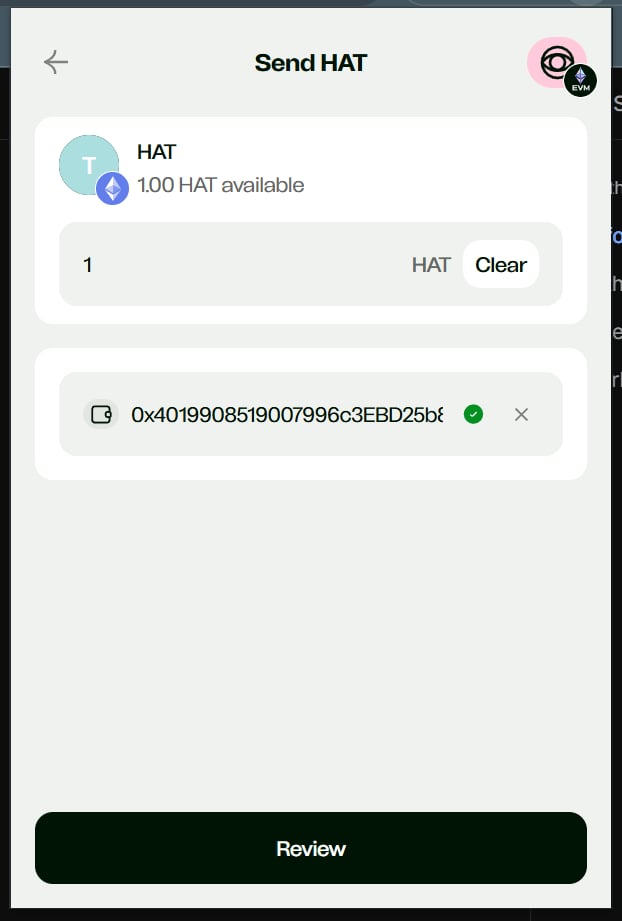 External wallet send screen with token amount and destination address
