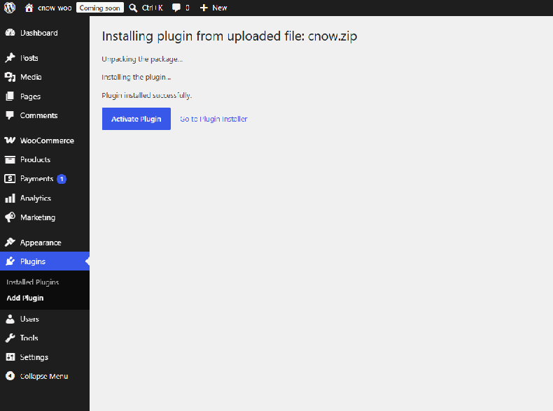 Plugin installed successfully with an Activate Plugin button