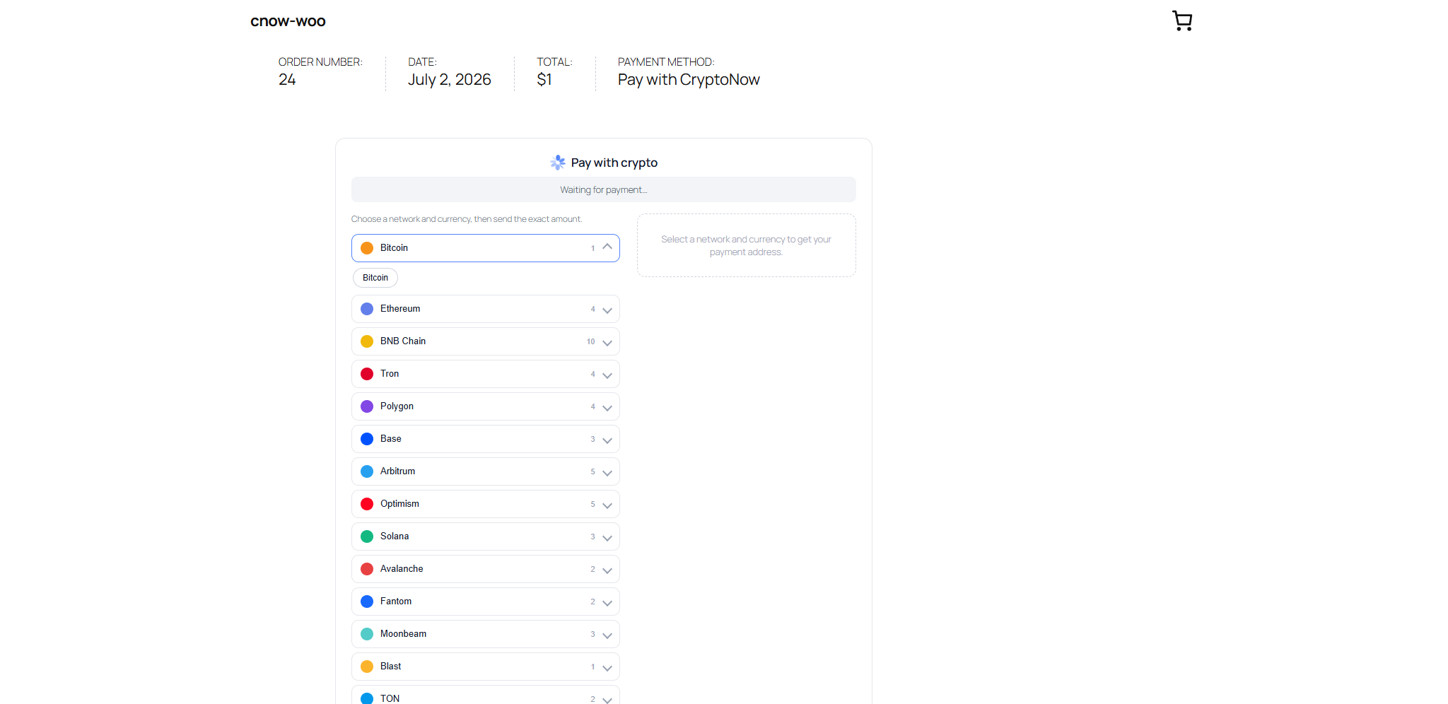 On-site CryptoNow payment page with networks grouped in an accordion