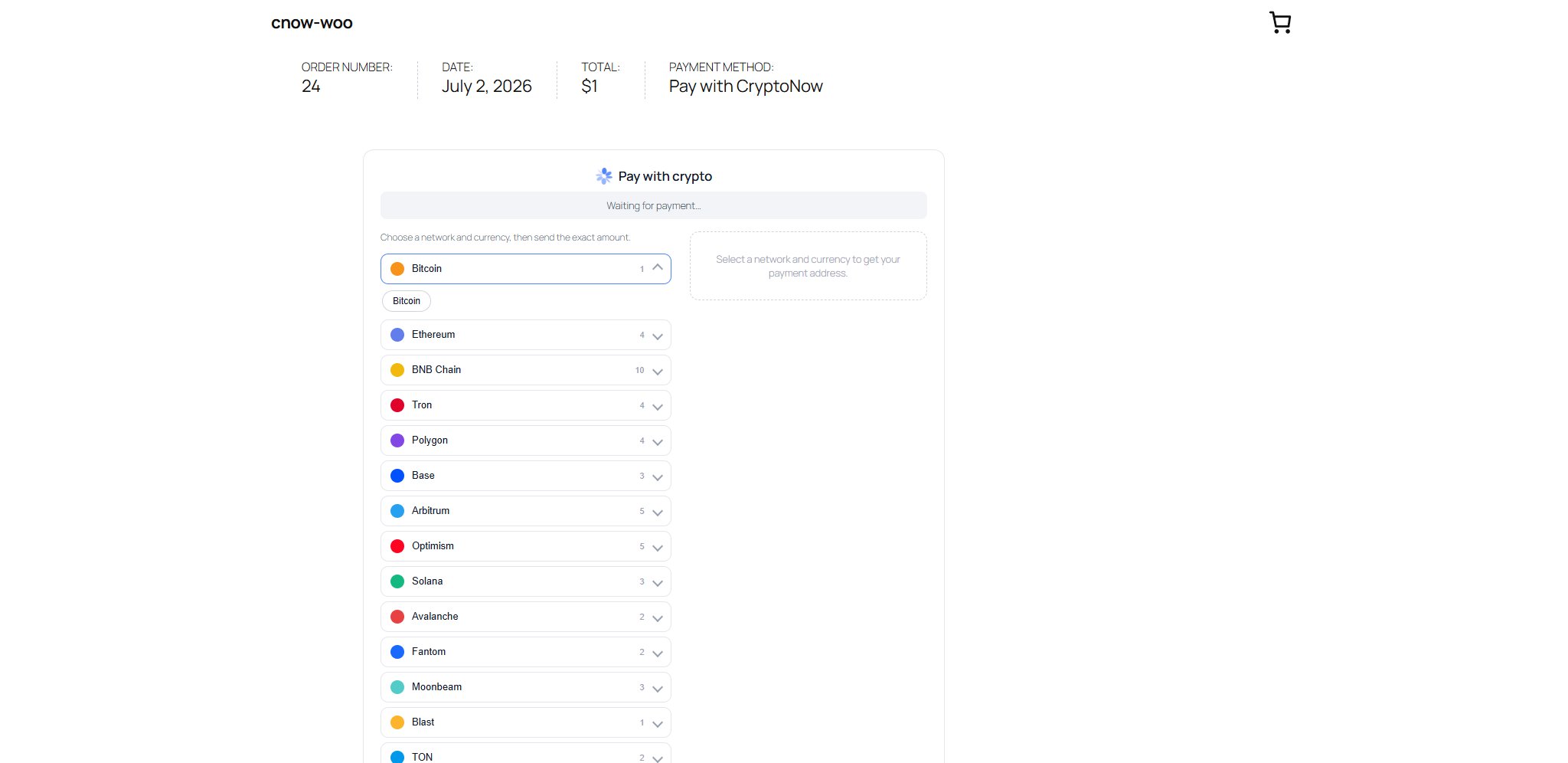 On-site CryptoNow payment page with networks grouped in an accordion