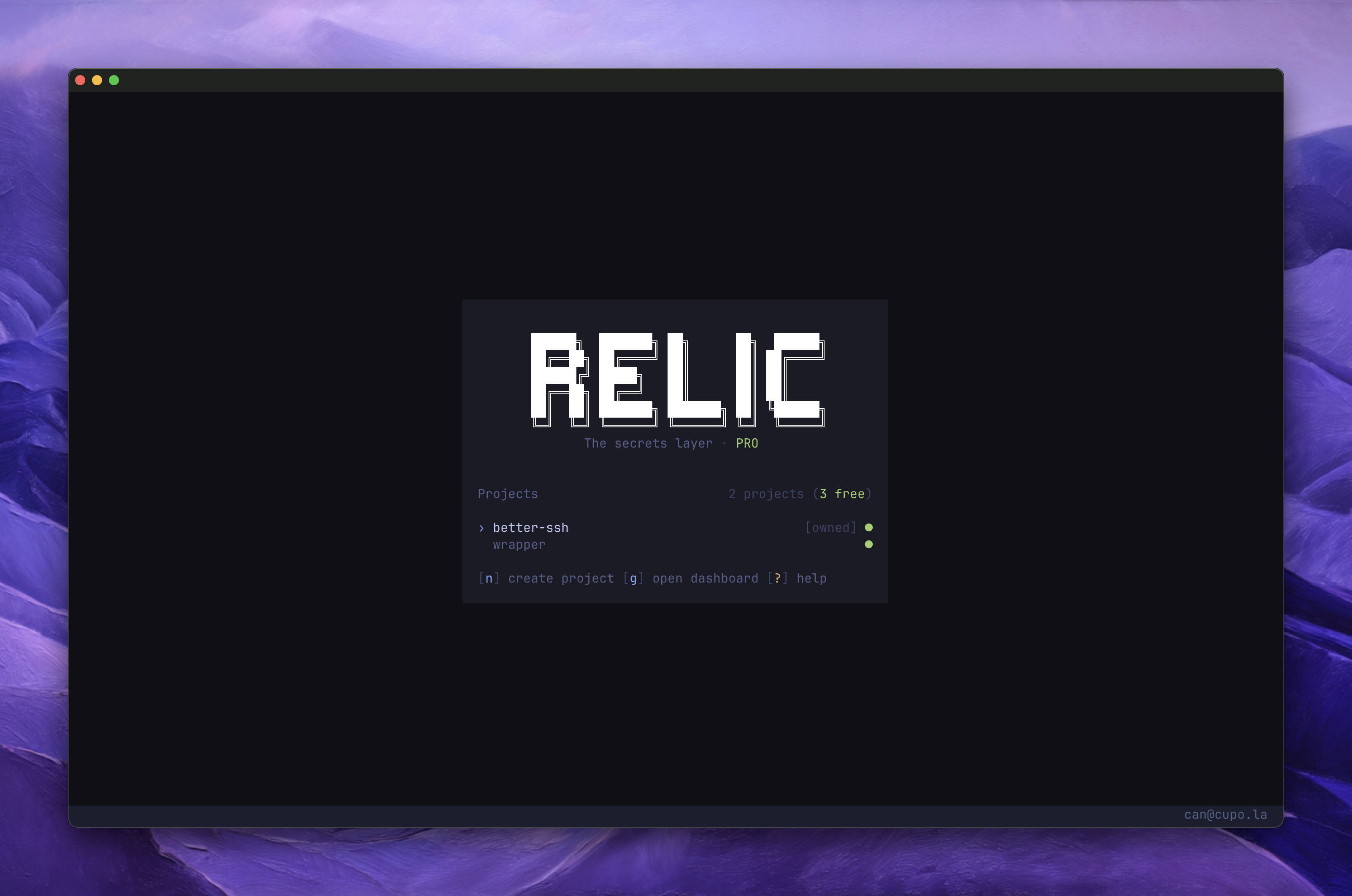 Introduction - Relic