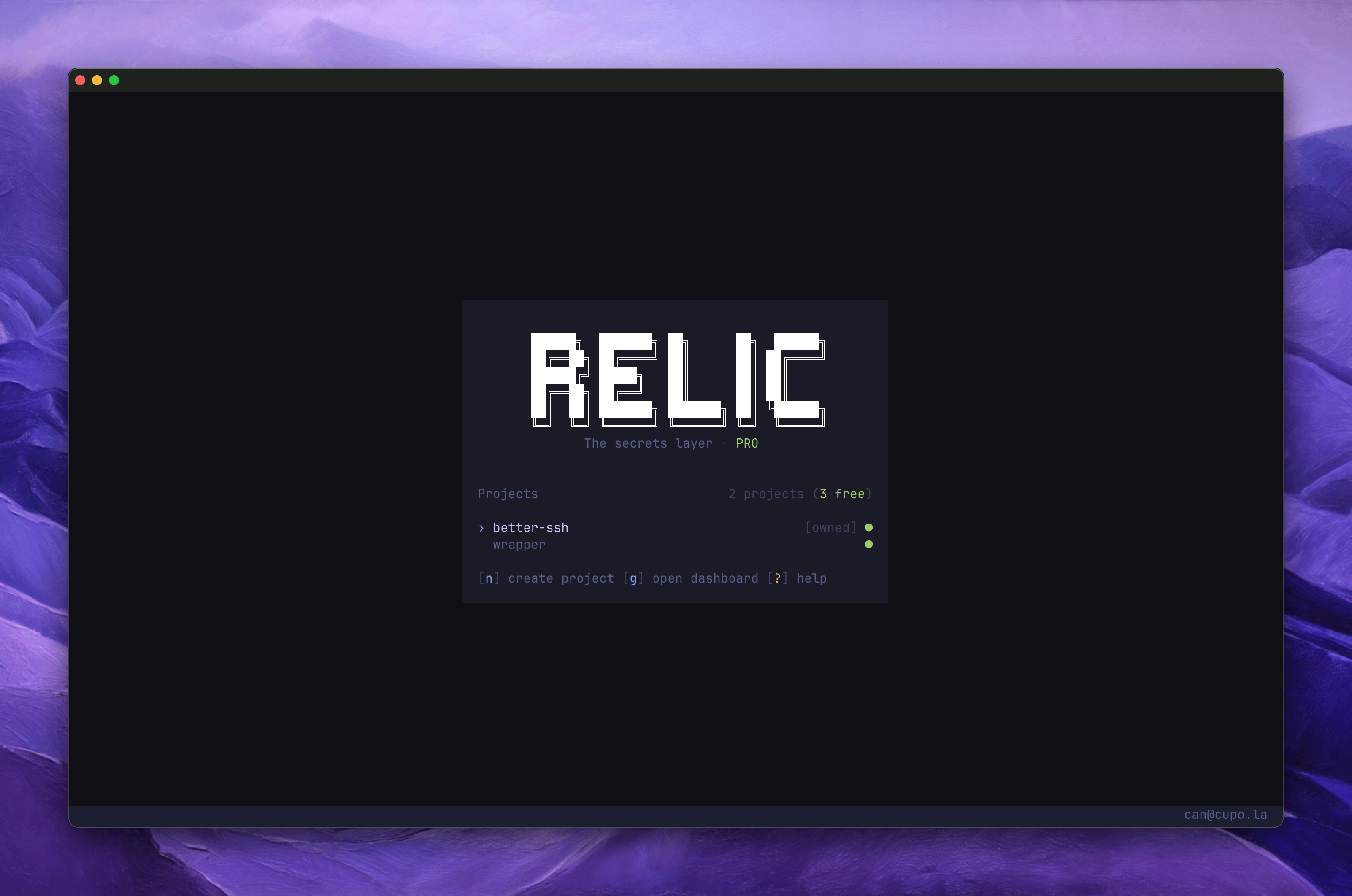 Relic TUI