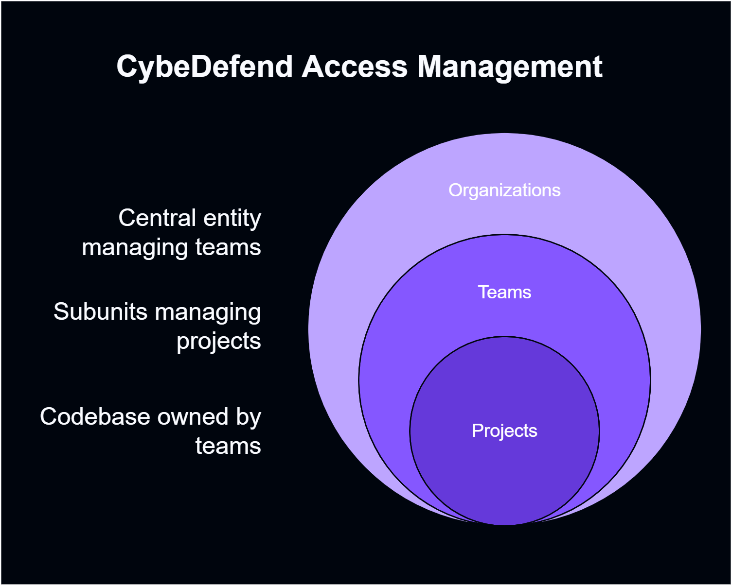 Organization and Team Structure