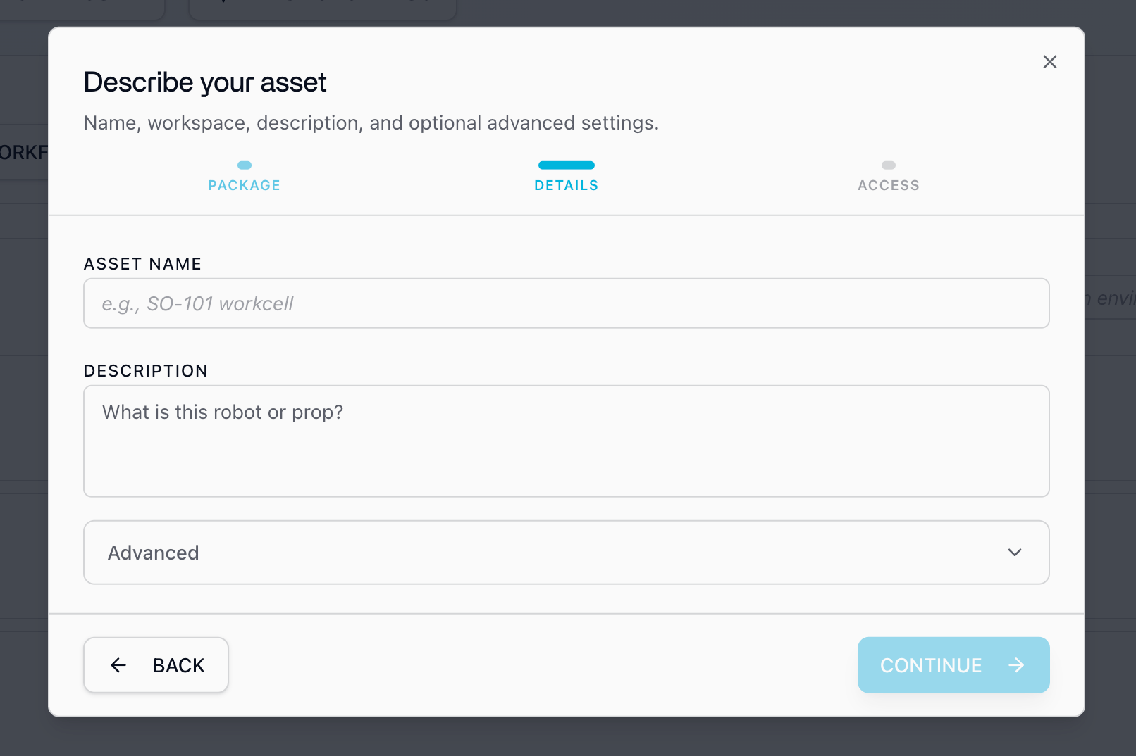 Describe your asset step