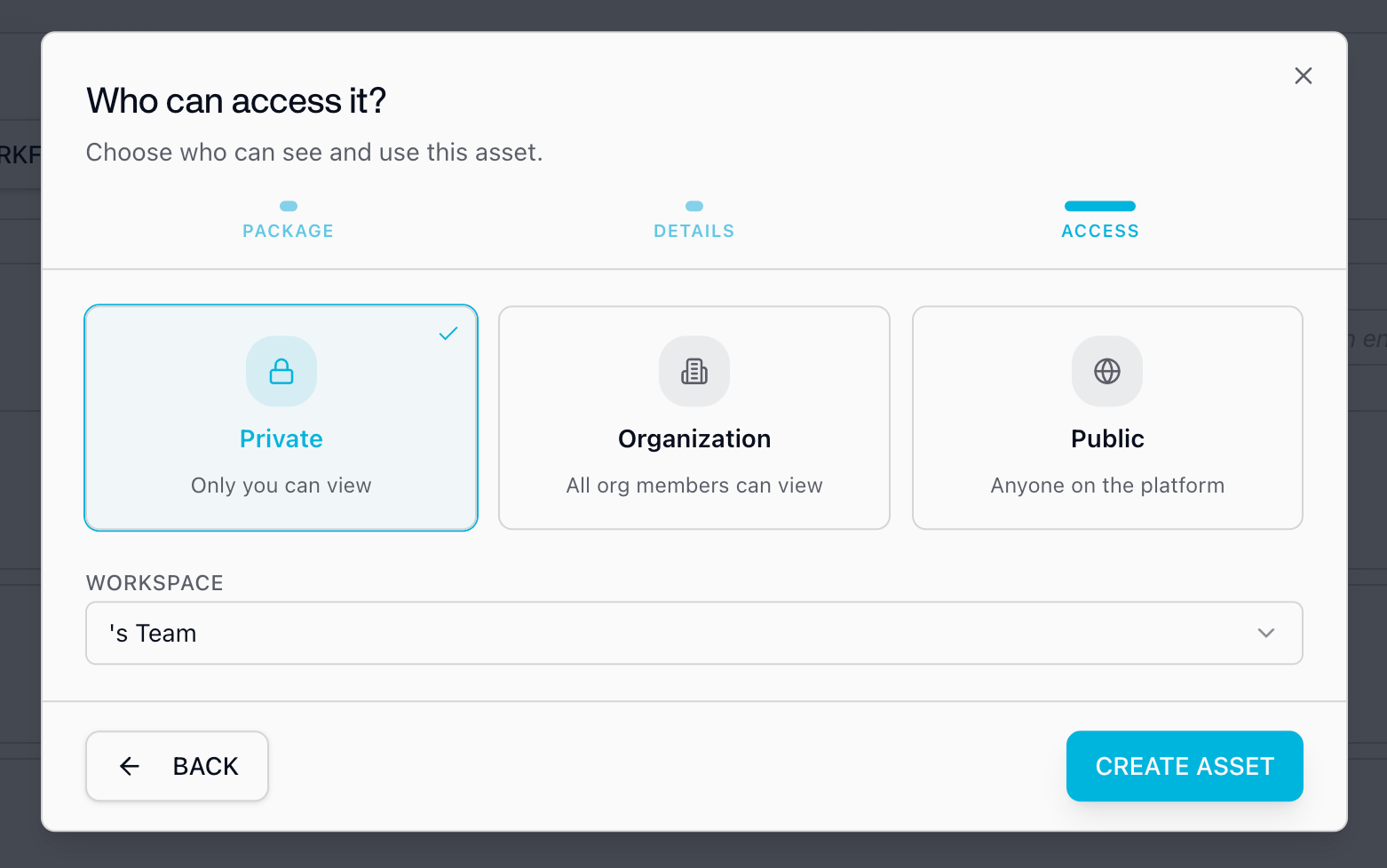Choose asset access step