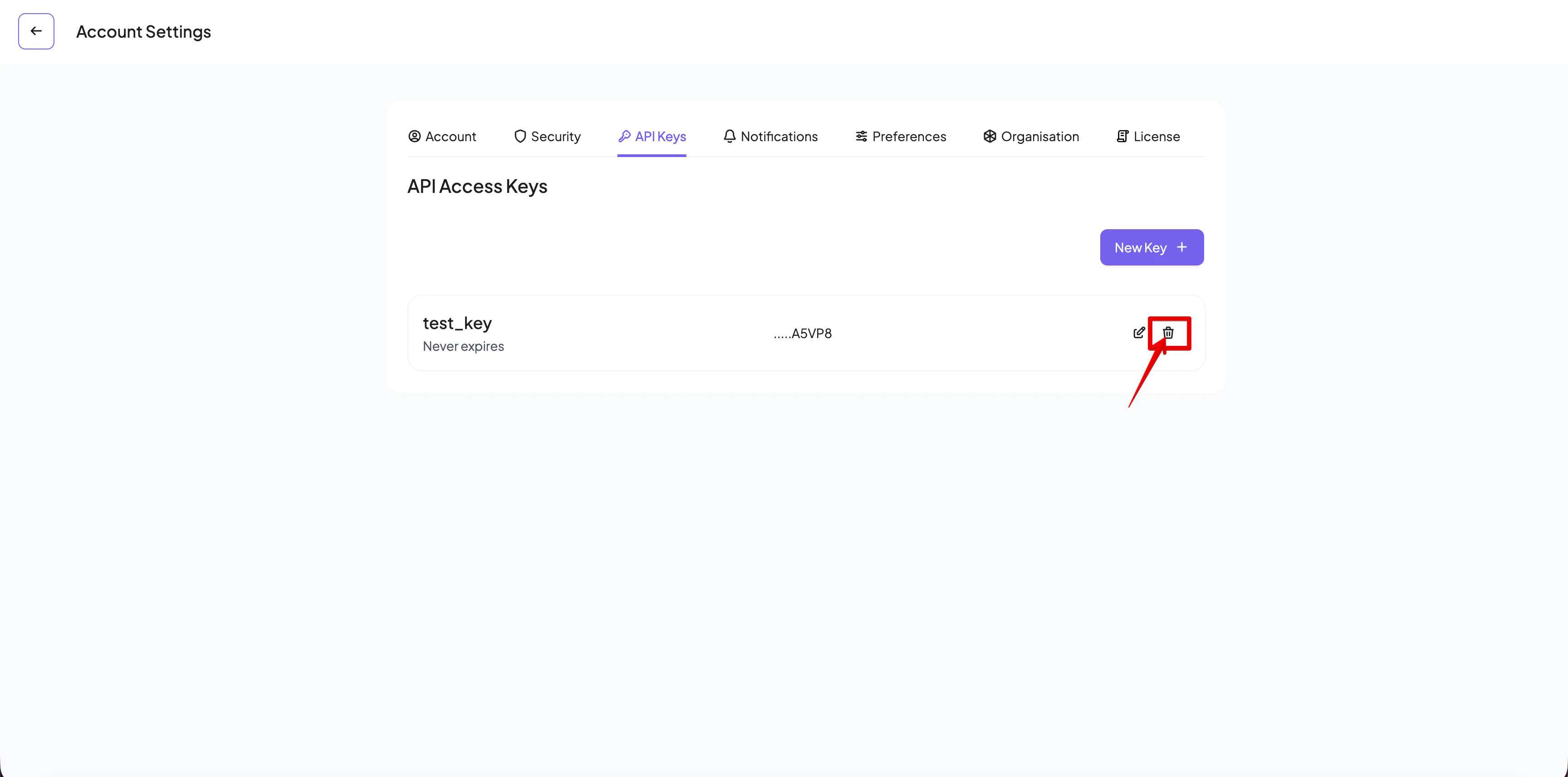 Delete Api Key