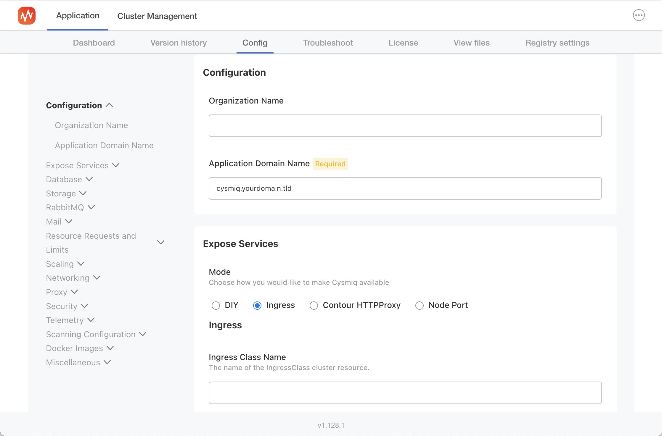 Configuration page showing organization name, application domain, and expose services options.
