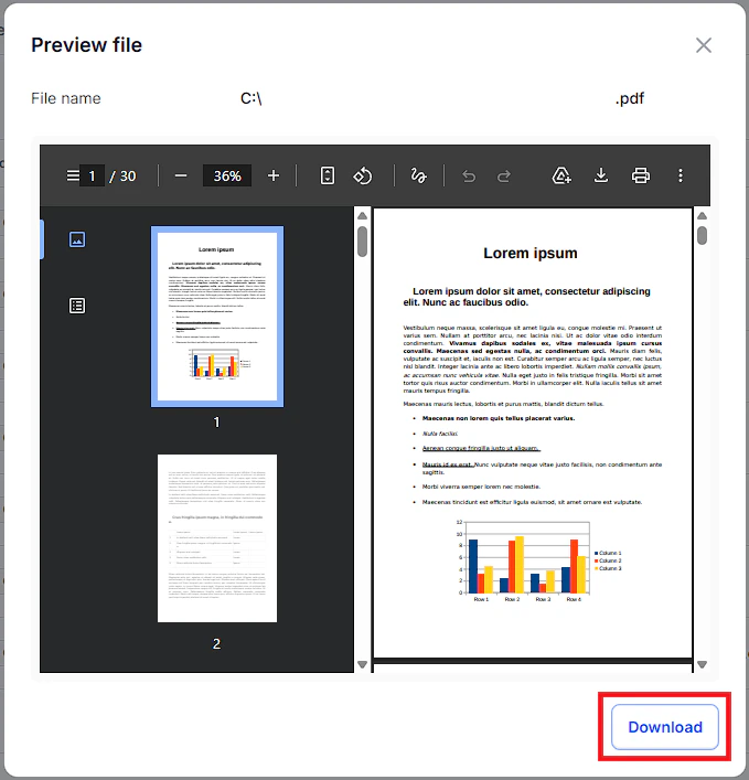 file-preview-interface