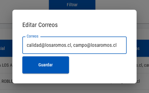 Ventana Editar Correos con dos correos separados por coma