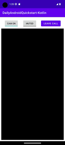 Application User Interface