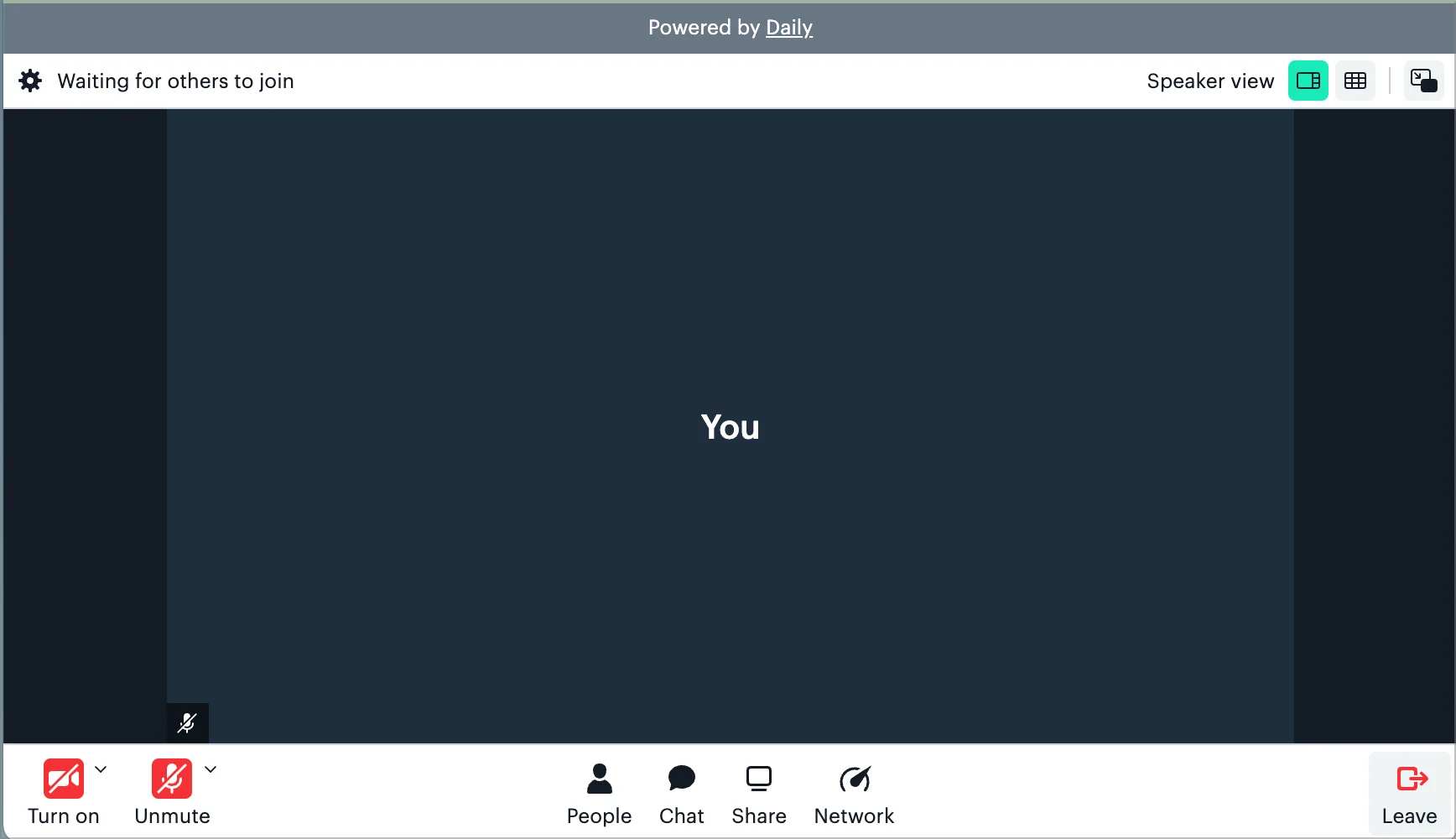 Call UI with Daily branding visible