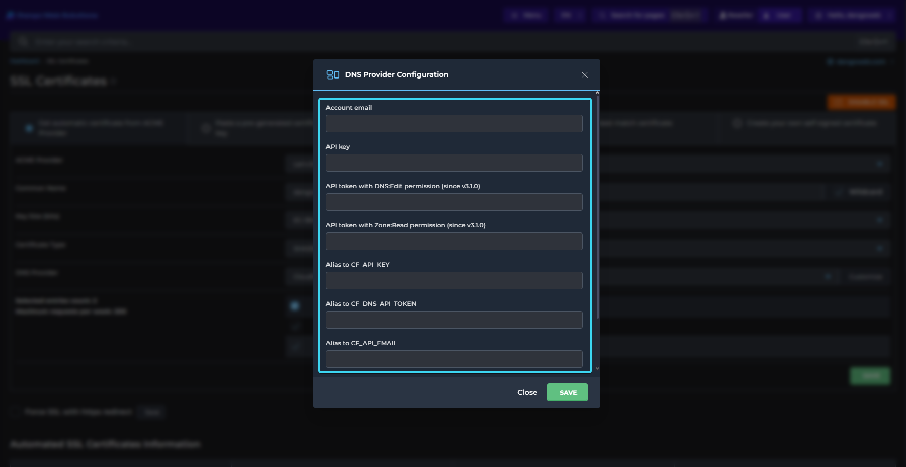 Customize Cloudflare (Wildcard)