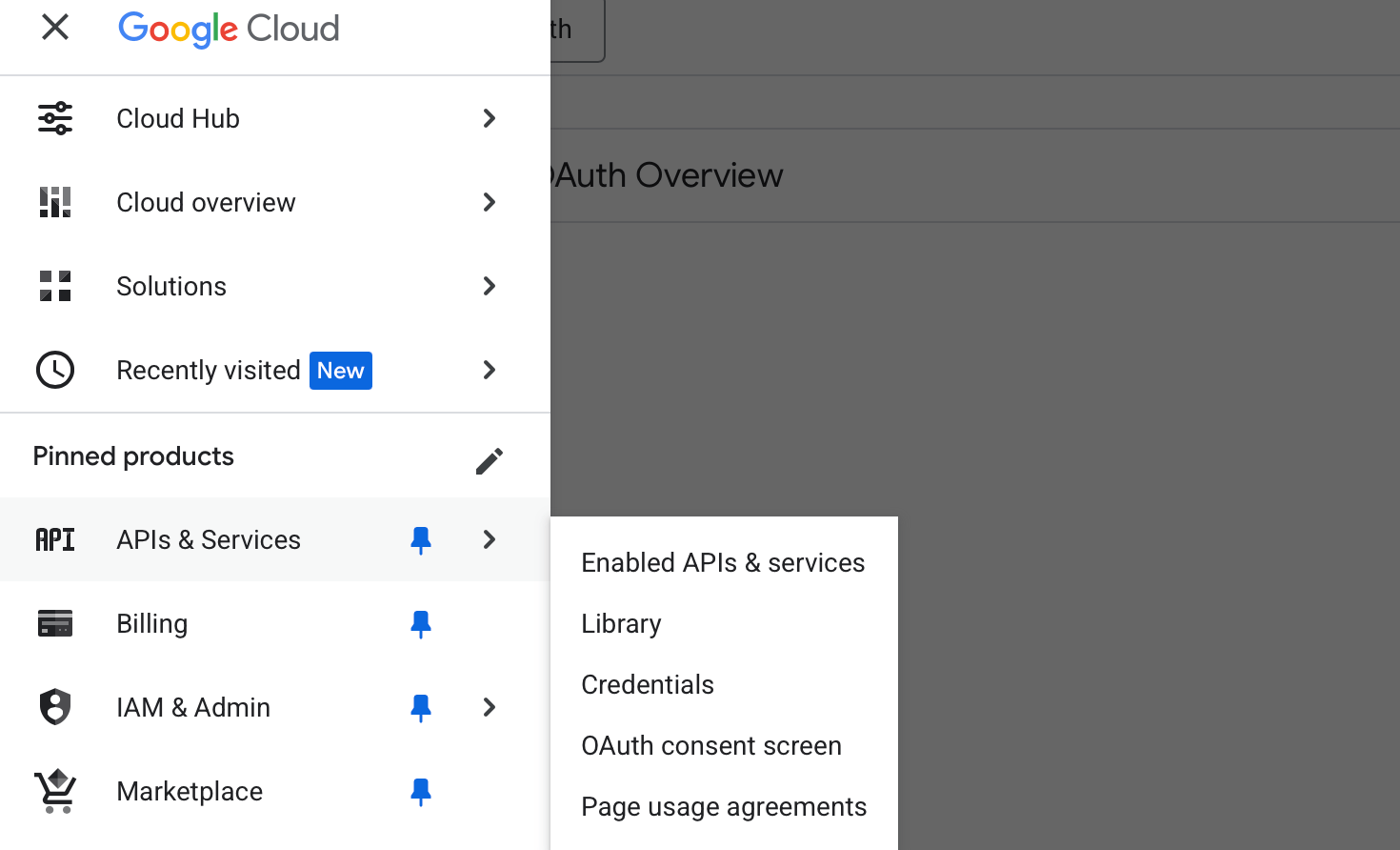 Google Cloud Console OAuth Consent Screen Page