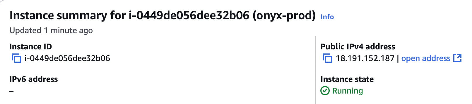EC2 Public IPv4 Address