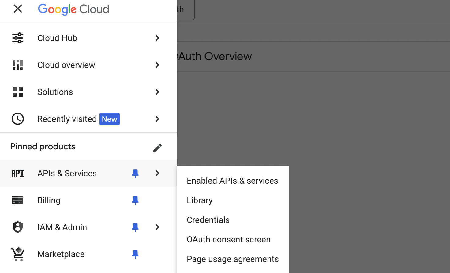 Google Cloud Console OAuth Consent Screen Page