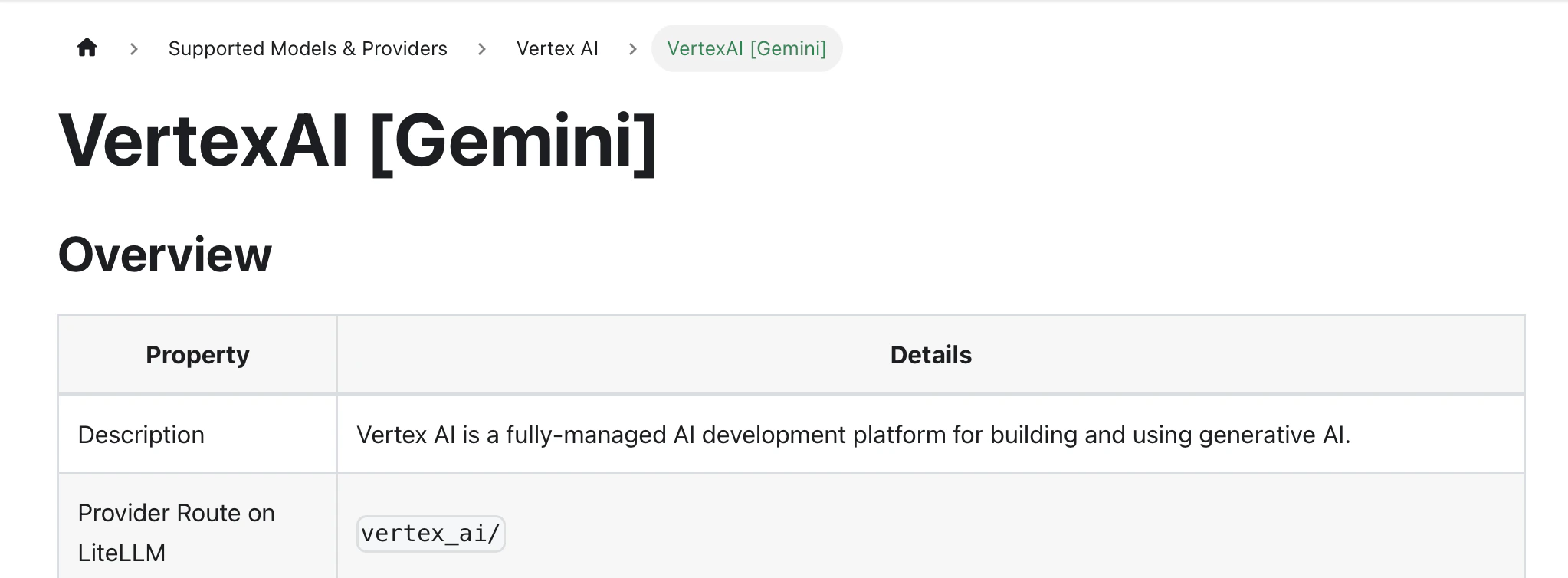 Custom inference provider name