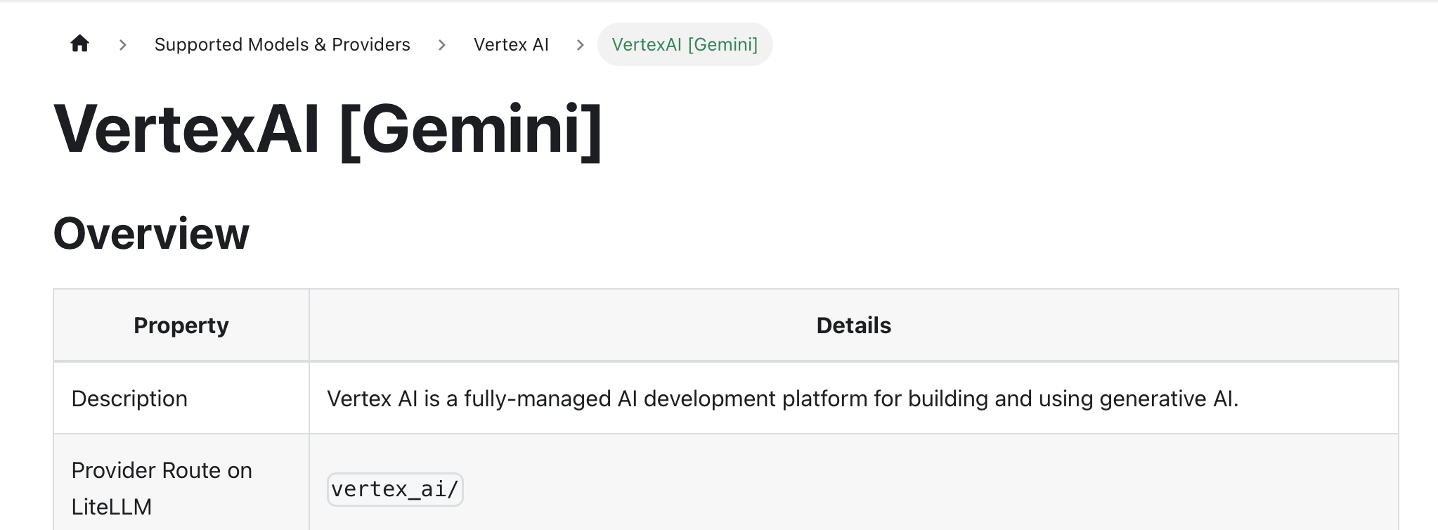 Custom inference provider name