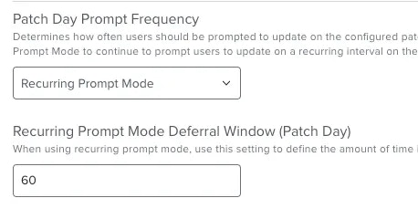 Patch Day Prompt Frequency (Recurring Prompt)