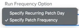 Run Frequency Option