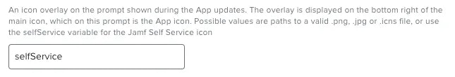 Update Progress Prompt Overlay Icon