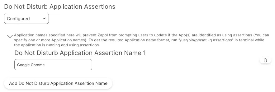 DND Application Assertions