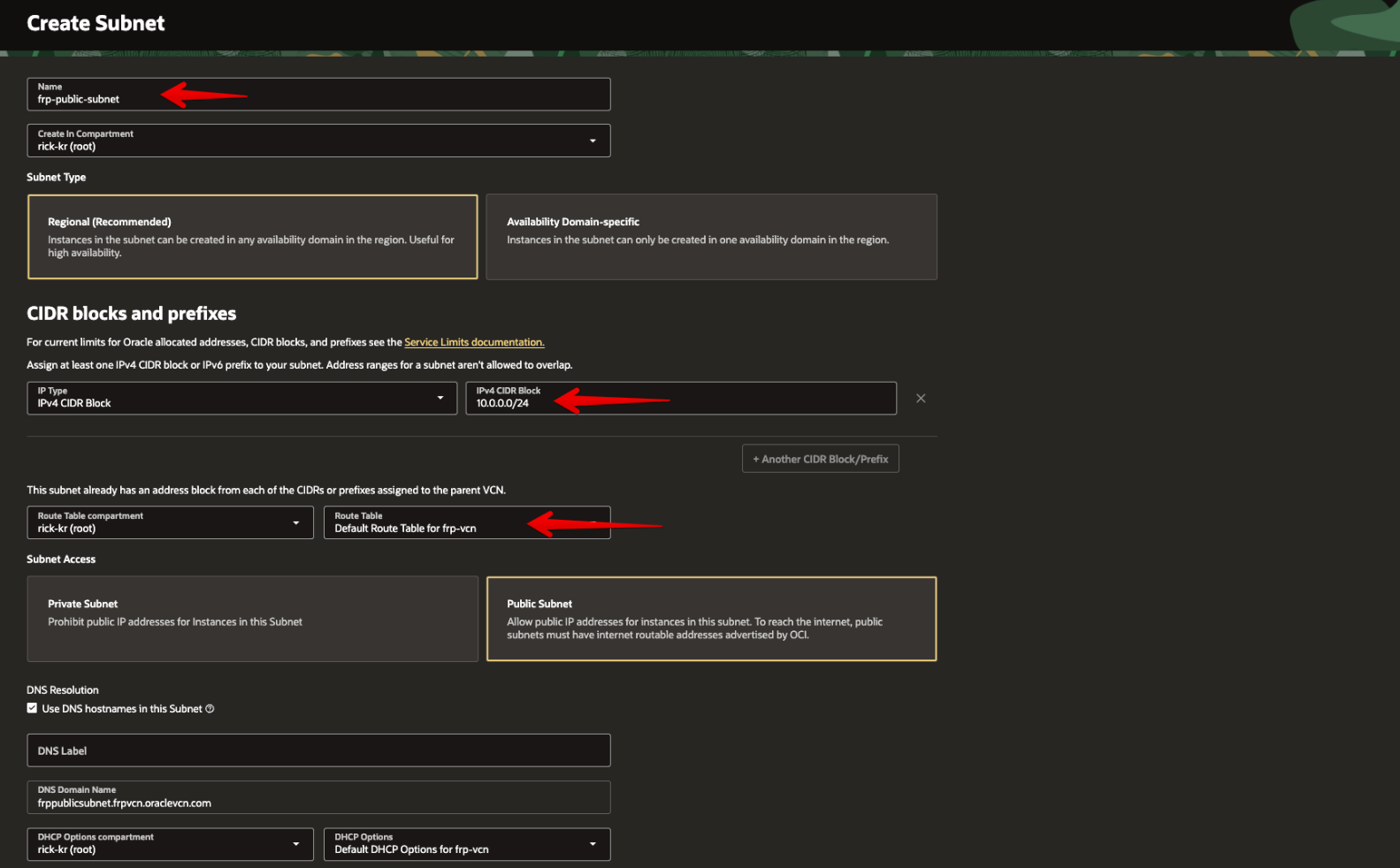 Picture 11. Configure the public subnet