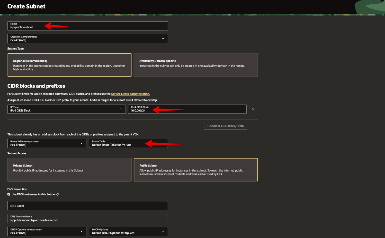 Picture 11. Configure the public subnet