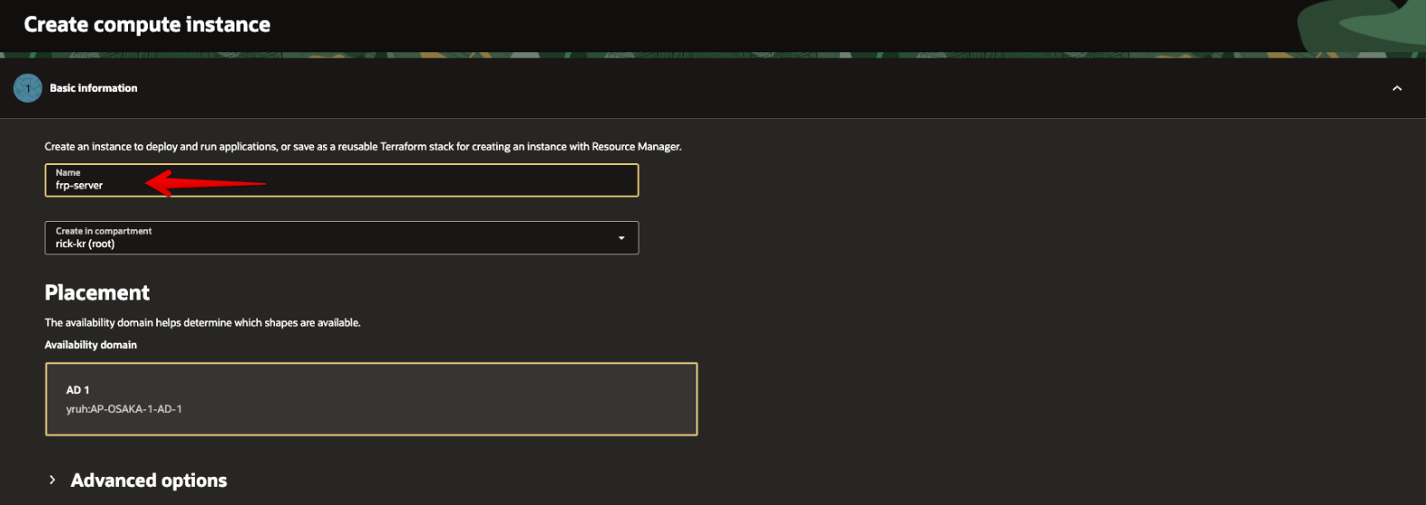 Picture 17. Compute Instance basic settings