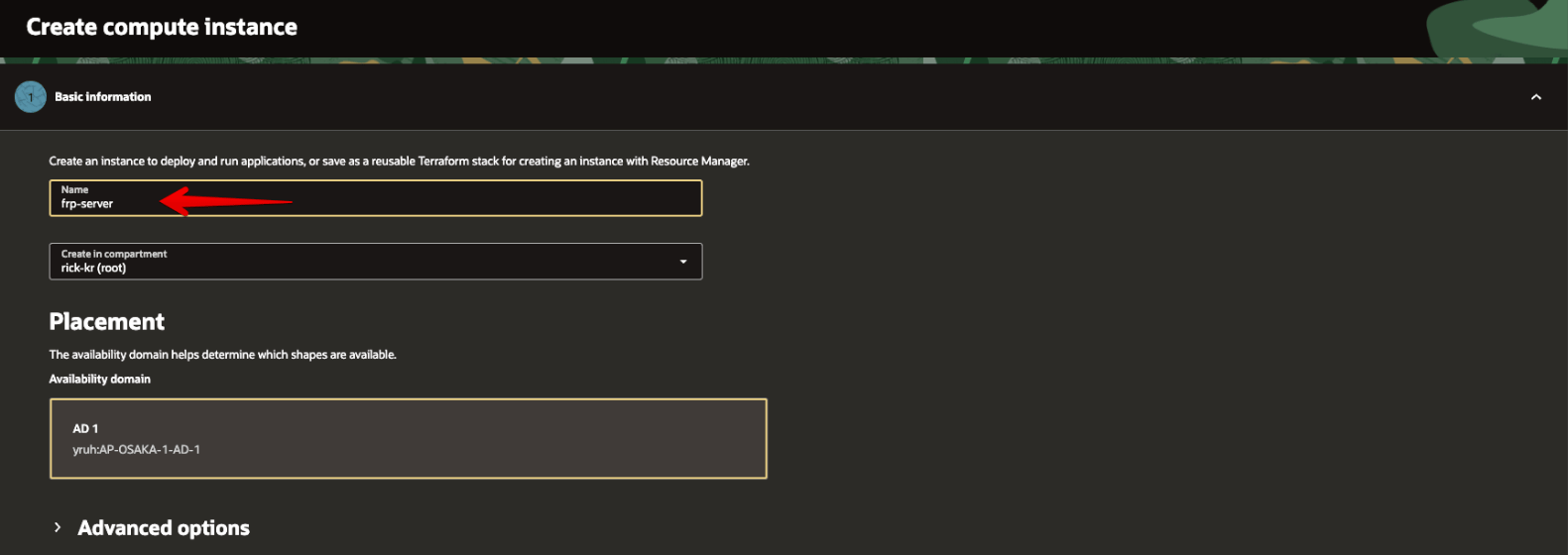 Picture 17. Compute Instance basic settings