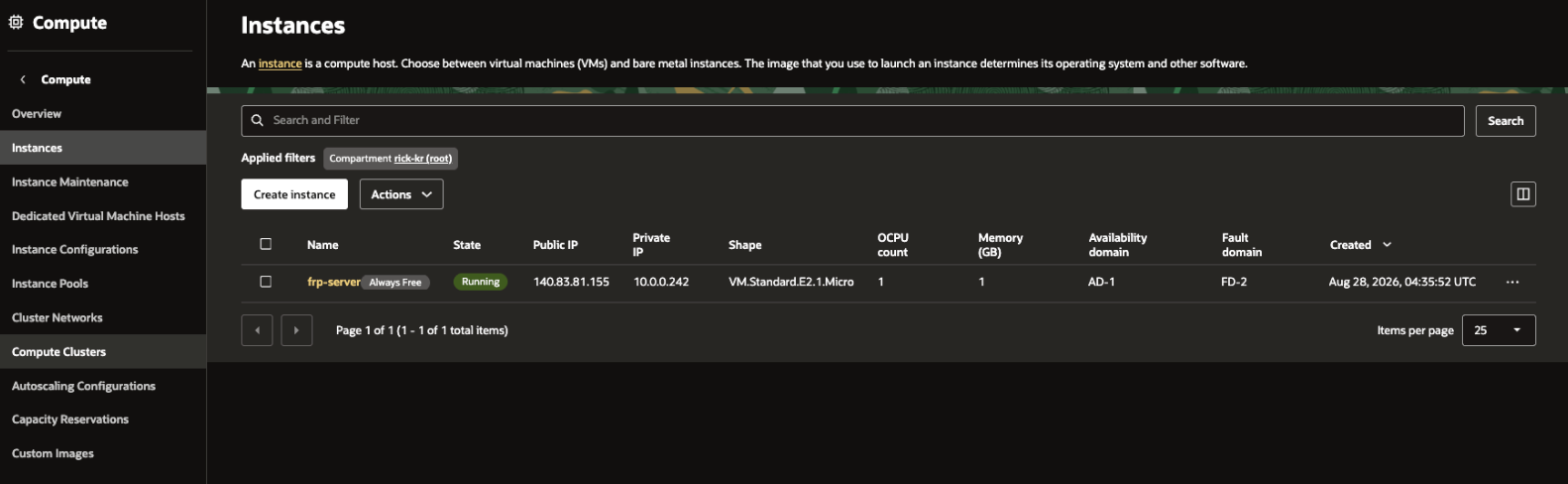 Picture 24. Confirm the created instance in the instance list