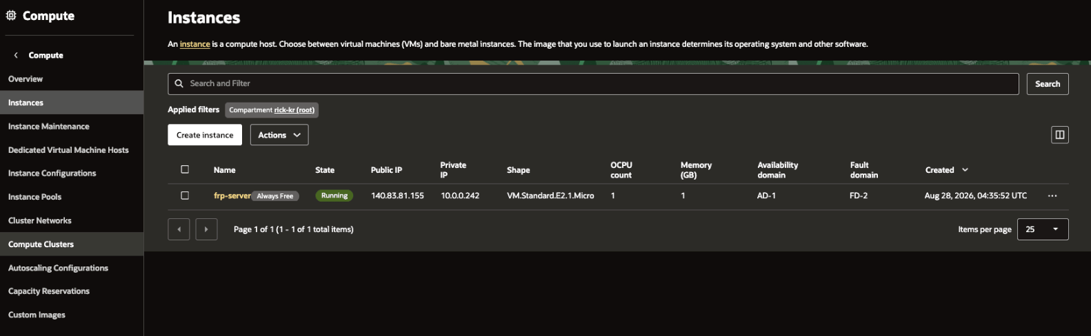 Picture 24. Confirm the created instance in the instance list