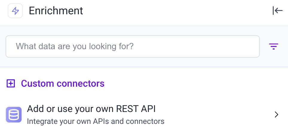 Enrich sidebar showing the 'Add or use your own REST API' button for custom enrichments