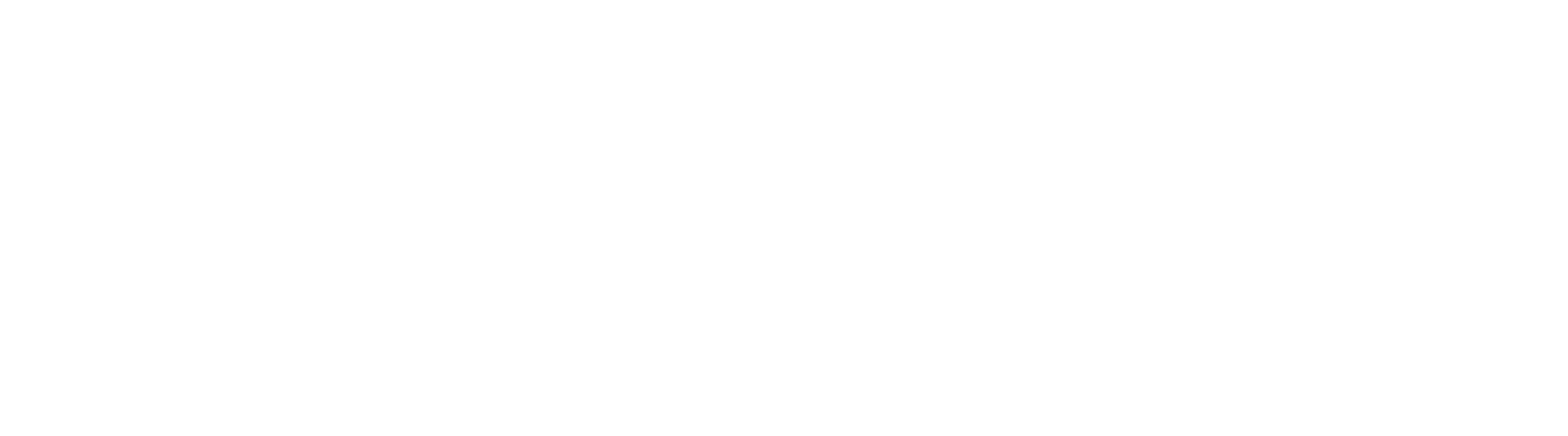 dark logo