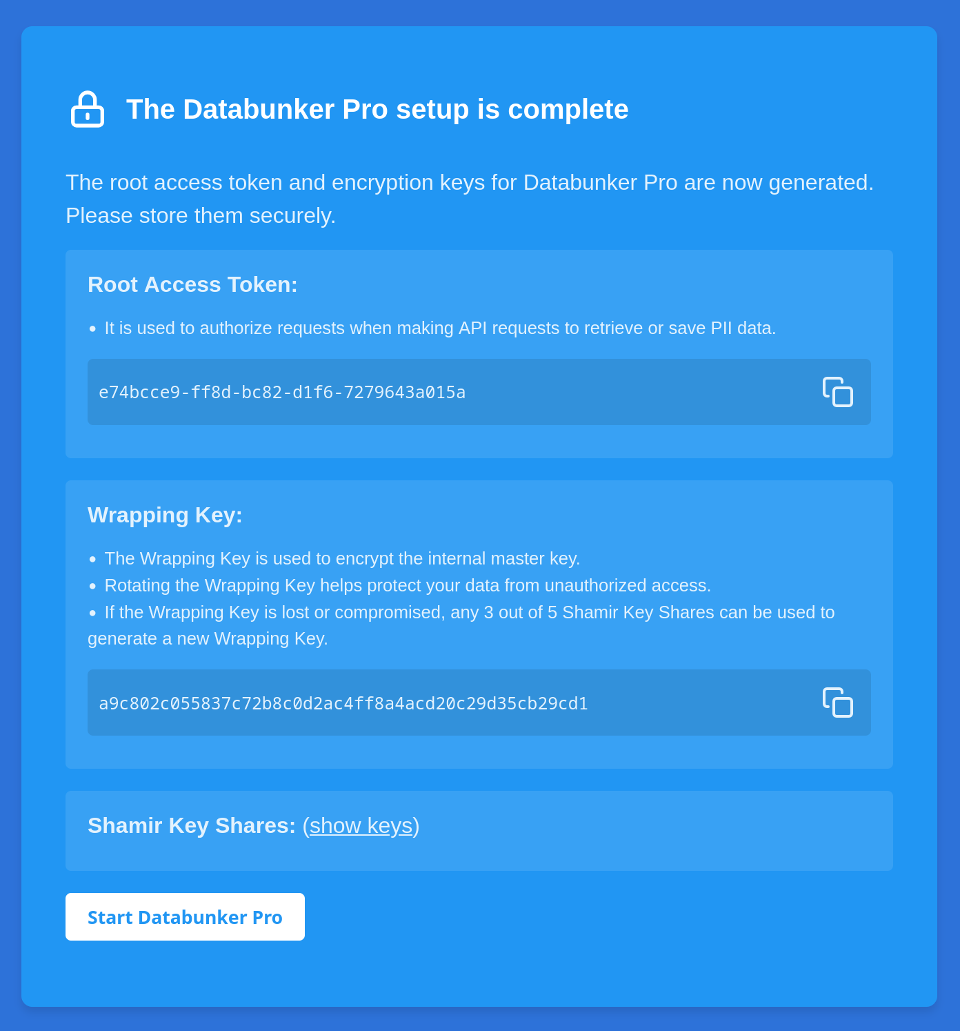 A setup page displaying root access token and encryption keys