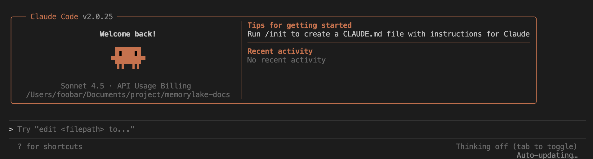 Claude Code usage interface