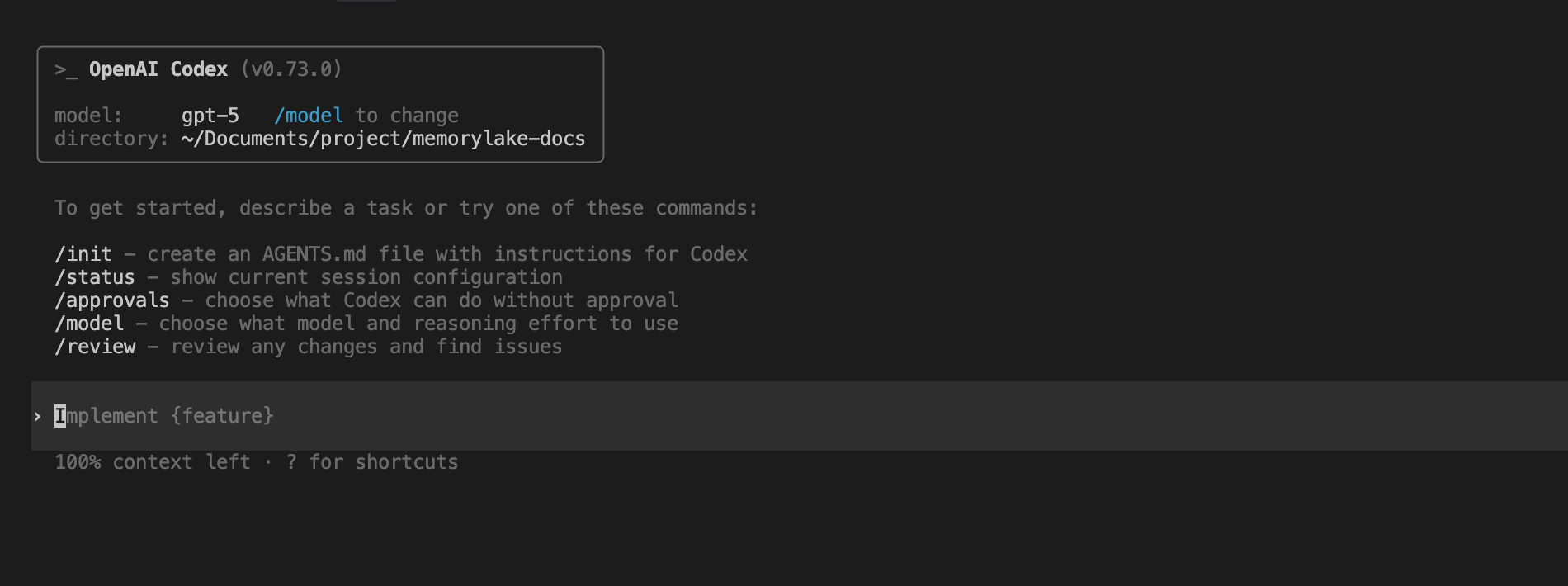 Codex CLI usage interface