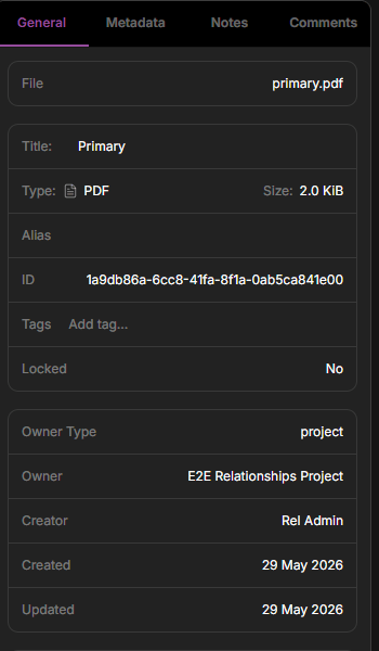 Dataerai asset detail panel showing metadata fields and the General, Metadata, Notes, and Comments tabs