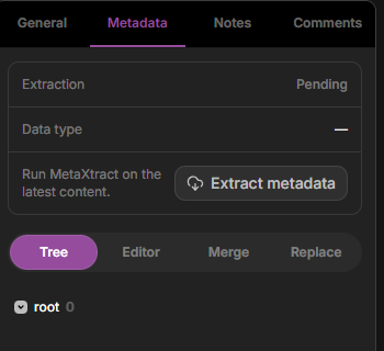 Dataerai asset Metadata tab showing extraction status and the structured metadata tree