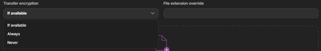 Dataerai upload options — transfer encryption dropdown and file extension override