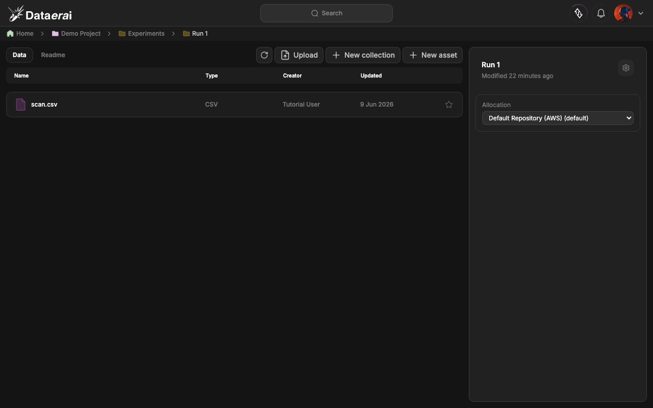 Your uploaded file in the collection workspace