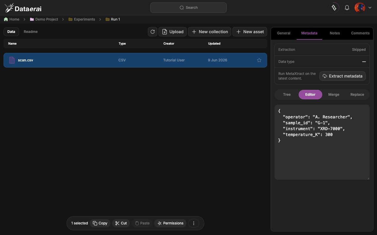 The raw JSON in the Metadata Editor view