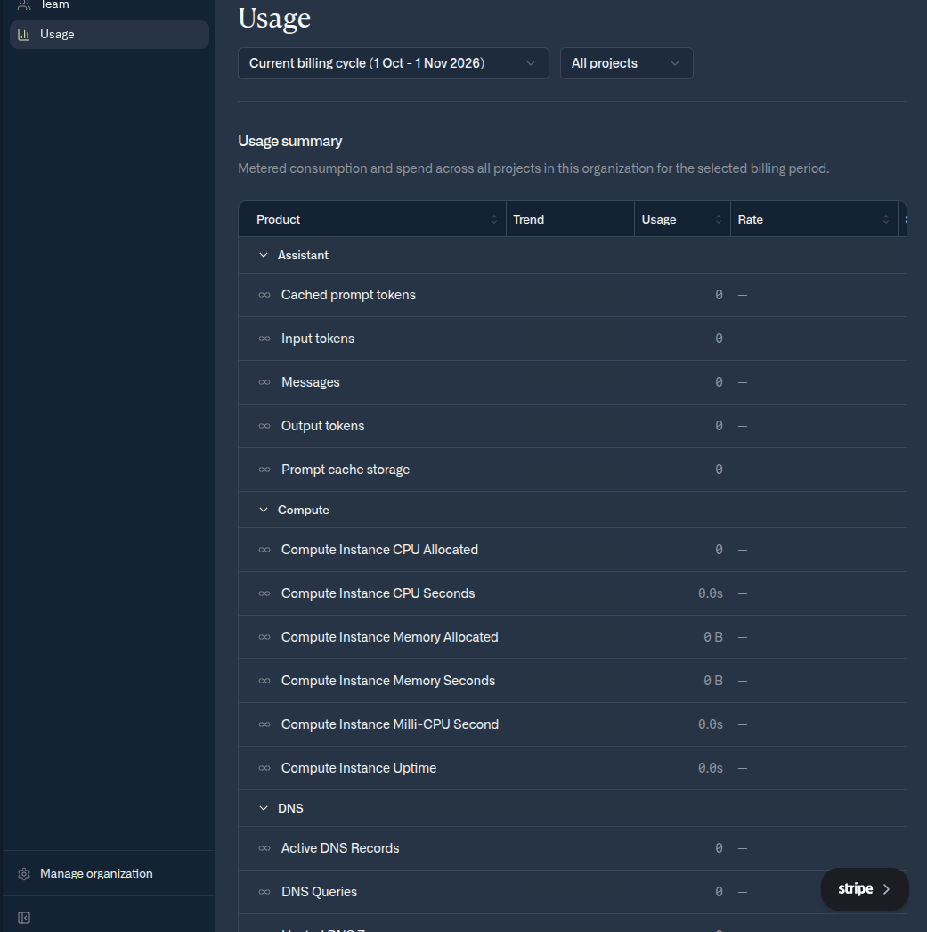 The organization Usage page with a billing cycle filter, a project filter, and a usage summary table grouped by product: Assistant, Compute, and DNS